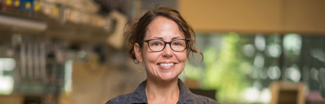 Shapiro’s Paleogenomics Lab at UC Santa Cruz uses ancient DNA to study evolutionary history and the effects of environmental change on species and ecosystems