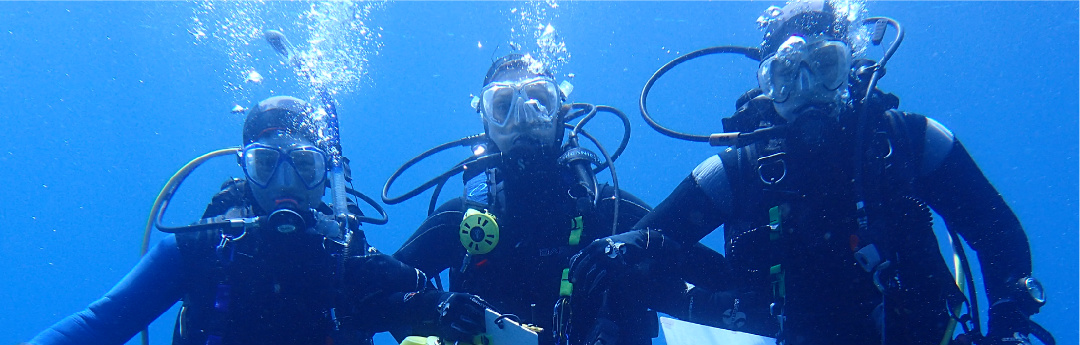 alonzoscuba