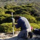 Professor Laurel Fox downloading microclimate data at her ongoing herbivore exclusion experiment site in the chaparral ecosystem at Fort Ord, a UC reserve near Monterey, CA. For the past 15 years, Dr. Fox has been studying the community ecology of browsed and unbrowsed microcosms that she fences off using hog wire.  Enclosed unbrowsed plants grow to be large and leafy while the controls are browsed continuously by deer to the point where they look like topiaries or shrublets.